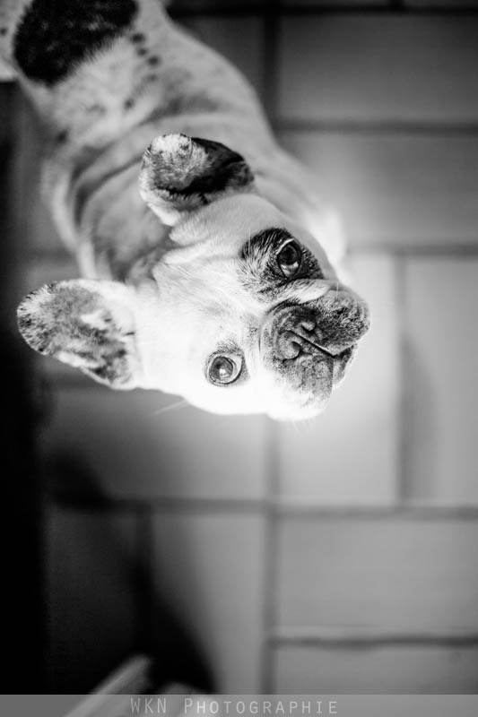 photographe-mariage-paris-076