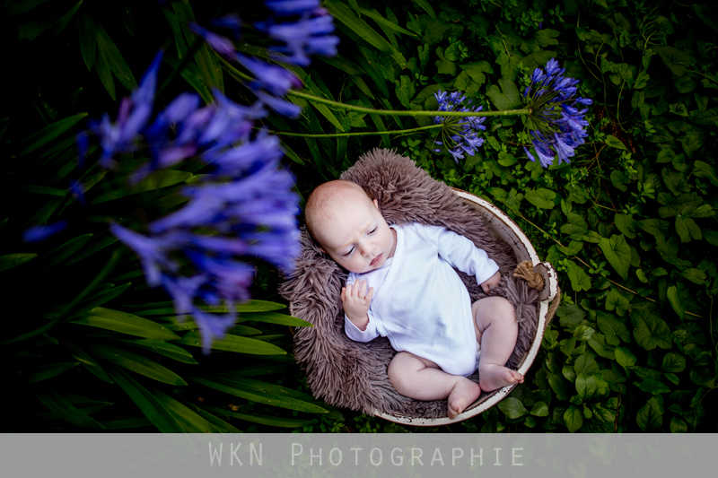 photographe-naissance-paris-41