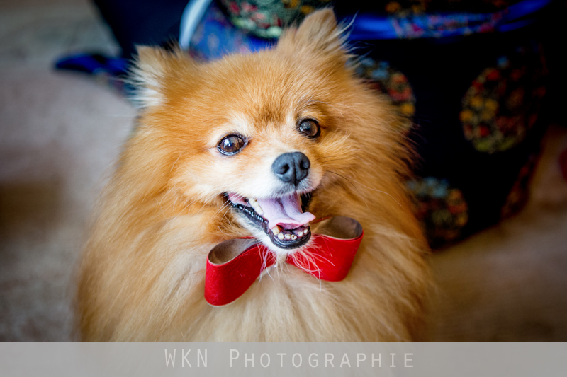 photographe-mariage-vietnamien-32