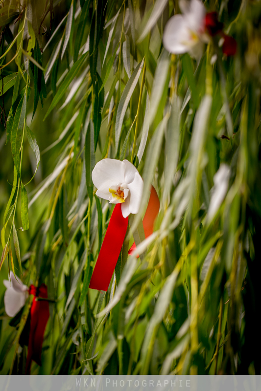 photographe-de-mariage-155