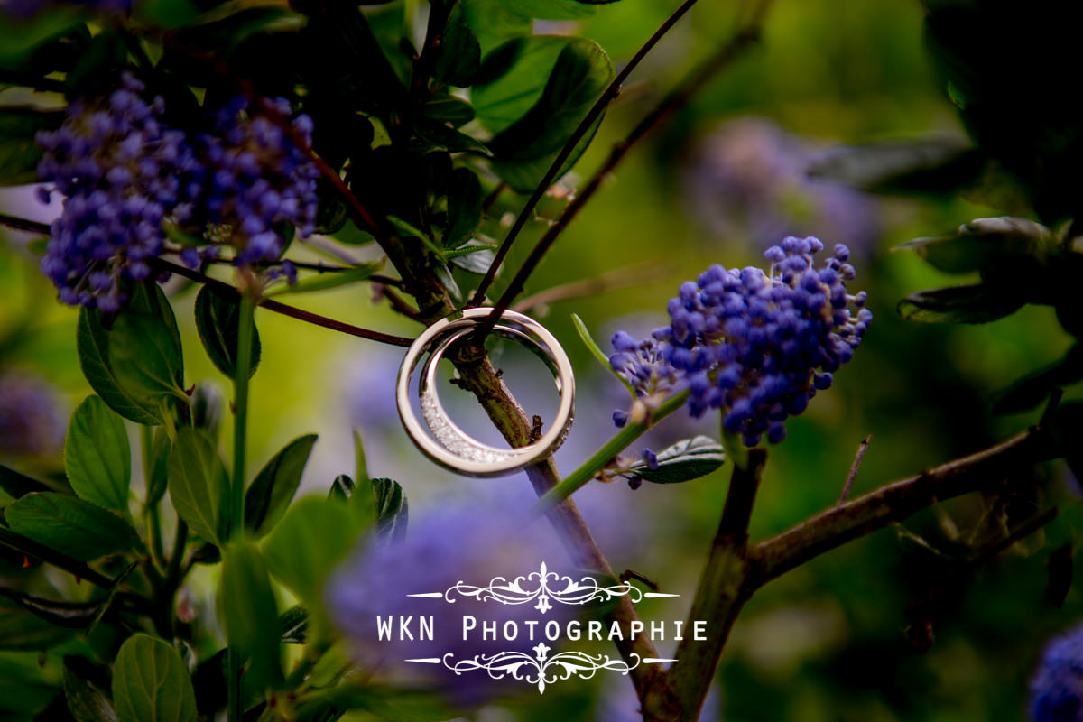 Photographe de mariage à Paris - les alliances des mariés