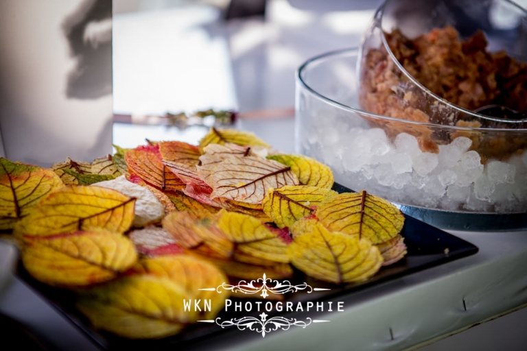 Photographe de mariage - vin d'honneur estival a la Vallee aux Pages