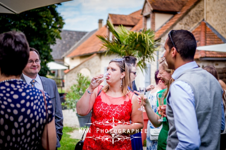 Photographe de mariage - vin d'honneur estival a la Vallee aux Pages