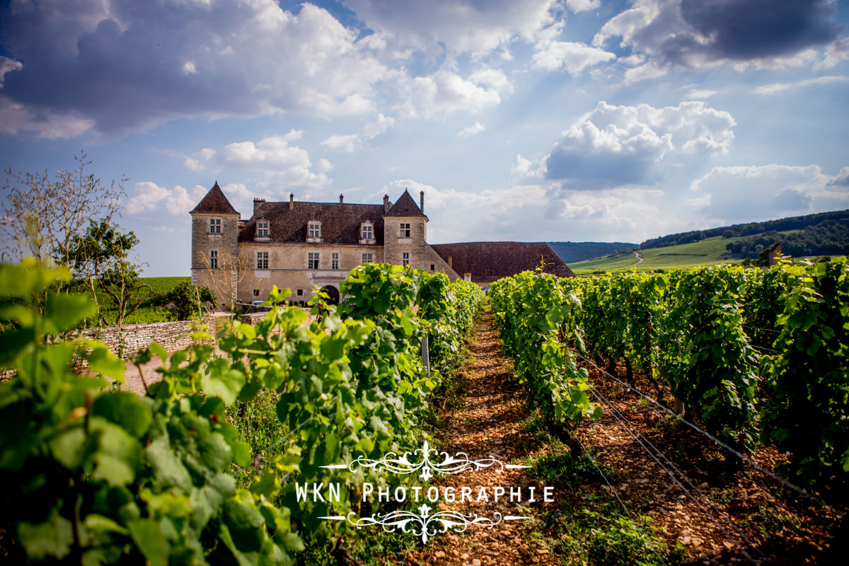 Photographe de mariage bourgogne - ceremonie laique au Clos de Vougeot