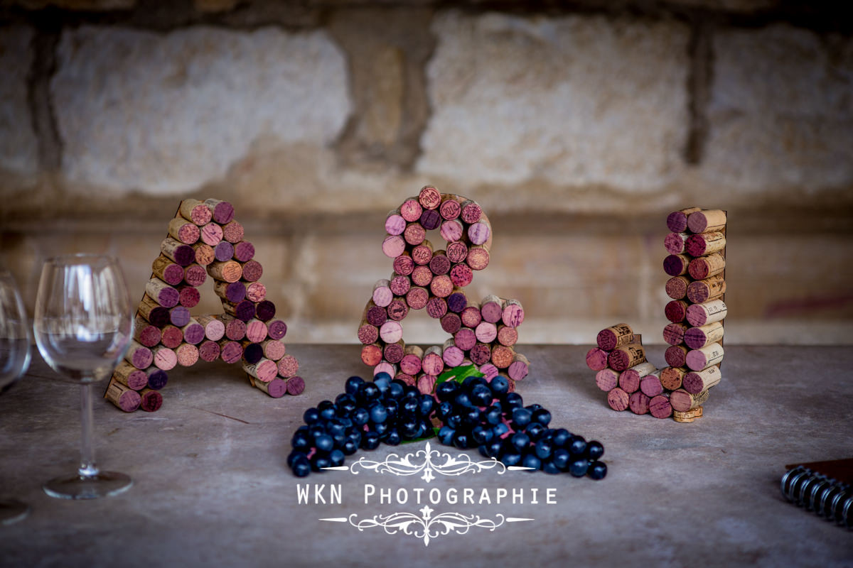 Photographe de mariage bourgogne - ceremonie laique au Clos de Vougeot