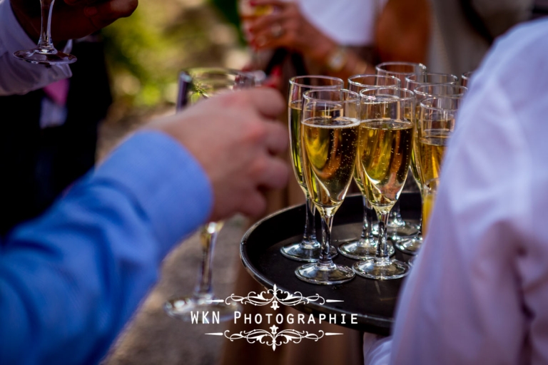 Photographe de mariage Chartres - vin d'honneur Bergerie de Vaujoly